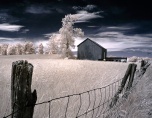 "Barn and Tree" (Digital Infrared)