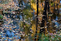 "Autumn Reflections #3)